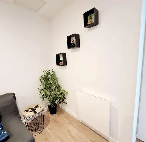 Appartement Moderne Neuf F2 Centre *